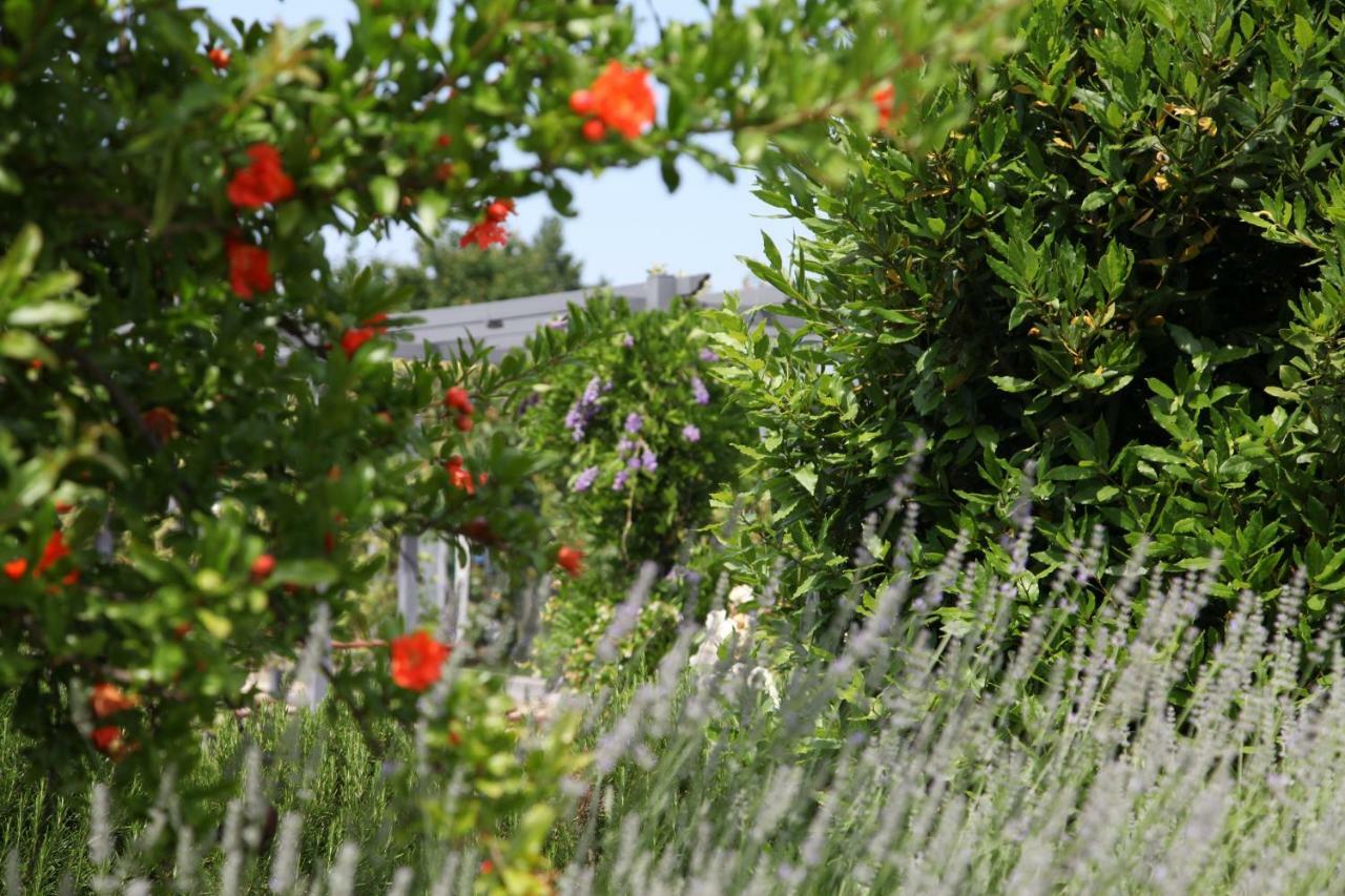 Farm stay Casa San Marco Castelnuovo del Garda