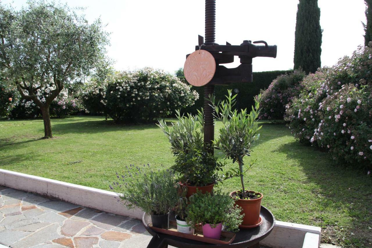 Farm stay Casa San Marco *